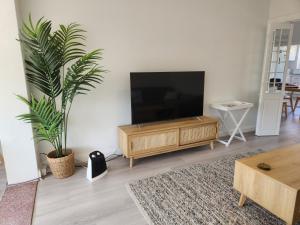 a living room with a flat screen tv and a plant at WOW - King Beds, Huge Yard, New Reno, close to Beach, Private, Level no stairs in Sydney