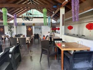Restaurace v ubytování Dhoani Inn