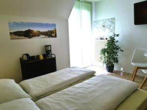 2 camas en un dormitorio con ventana y planta en Lichtdurchflutetes Zimmer - Käppele en Waldbüttelbrunn