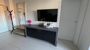 Μια τηλεόραση ή/και κέντρο ψυχαγωγίας στο Studio T1 bis vue mer Propriano