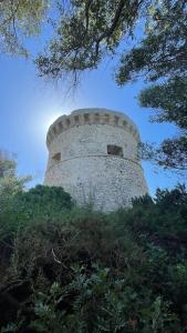 Φωτογραφία από το άλμπουμ του Studio T1 bis vue mer Propriano σε Propriano