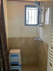 a bathroom with a shower and a window at VILLA AURA by AgroHolidays in Platres