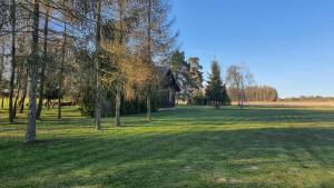 a field with trees and a house in the distance at WROTA PODLASIE in Siemiatycze