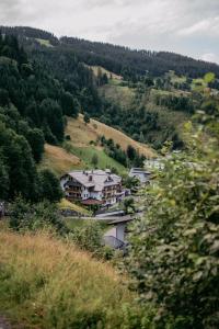 un groupe de maisons sur une colline plantée d'arbres dans l'établissement ALMHOF Alpin Apartments & Spa, à Dienten am Hochkönig