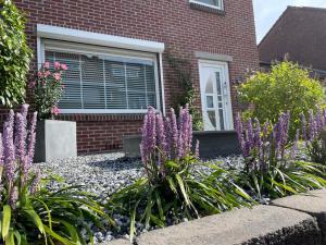 un jardín con flores púrpuras frente a una casa de ladrillo en Zuid-Limburg B&B OpdeBossen en Eygelshoven