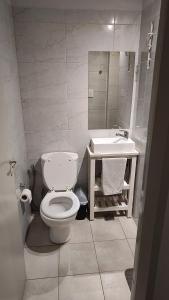 uma casa de banho com um WC e um lavatório em Departamento en la mejor ubicación de Mendoza con estacionamiento opcional em Mendoza