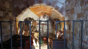 Fotografie z fotogalerie ubytování Adonis Guest House v destinaci Dimitsana