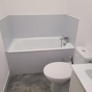 uma casa de banho branca com um WC e um lavatório em Appartement Brest Saint Martin em Brest