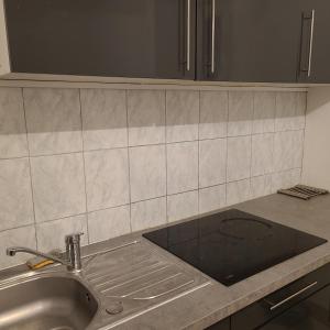 uma cozinha com um lavatório e uma bancada em Appartement Brest Saint Martin em Brest