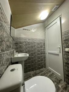 Baño pequeño con aseo y lavamanos en Happy House en Kutaisi