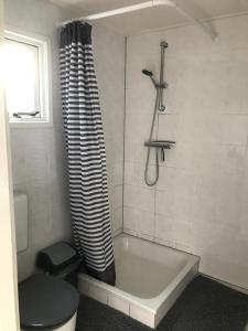 uma casa de banho com uma banheira, um WC e um chuveiro em Veluwe chalet em Putten