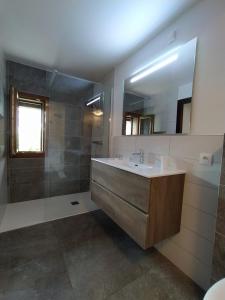 Saint-Nicolas-la-ChapelleChalet Appart'Hôtel l'Eau Vive的配有水槽、淋浴和镜子的浴室