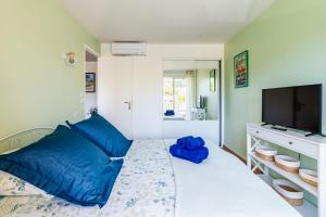Schlafzimmer mit einem Bett und einem Flachbild-TV in der Unterkunft Cassis - Le Capucine, 4pers, terrasse, classé 3 étoiles in Cassis