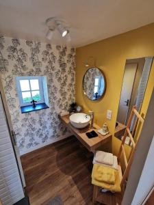 uma casa de banho com um lavatório e um espelho em La Jacquière em Chaumont-sur-Loire
