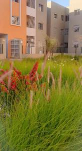 een grasveld met bloemen voor gebouwen bij Parfaite appartement en résidence in Marrakesh