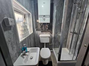 a bathroom with a toilet and a sink and a shower at Family room near Queen Mary College in London