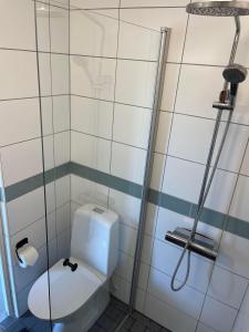 a bathroom with a toilet and a shower at Vik Österlen in Simrishamn