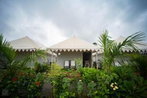 uma casa com telhados brancos e algumas plantas e flores em Unity Holiday Resort - Statue Of Unity em Kevadia