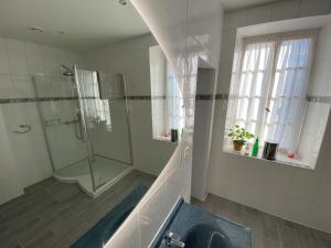 ein Bad mit einer Dusche und einem Waschbecken in der Unterkunft Le Manoir aux Volets Verts in Salerm