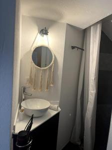 a bathroom with a white sink and a mirror at Studio Strasbourg avec jardin in Strasbourg