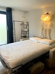 a bedroom with a large bed in a room at Studio Strasbourg avec jardin in Strasbourg