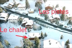 Chalet Robaumont - Grand chalet familial proche du centre et des pistes v zimě