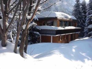 Chalet Robaumont - Grand chalet familial proche du centre et des pistes v zimě