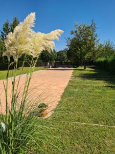 Fotografia z galérie ubytovania A Grund Apartman v destinácii Balatonszabadi