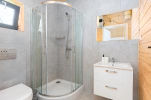 a bathroom with a shower and a toilet and a sink at Siedlisko Jantar Resort&Spa in Jantar