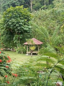 a gazebo in the middle of a garden at Thousand hills ketambe in Lhokuenam