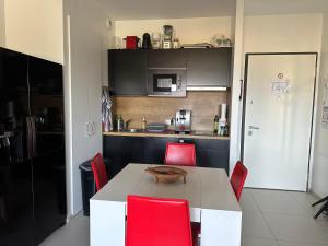 Η κουζίνα ή μικρή κουζίνα στο Studio T1 bis vue mer Propriano