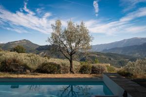 un árbol y una piscina con montañas en el fondo en Secluded house with amazing view and swimming pool, en Buis-les-Baronnies