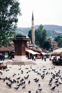 a flock of birds on a city street with a tower at Sarajevo Apartments Casa United in Sarajevo