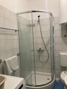 a shower with a glass door in a bathroom at Apartment Penovic in Blace
