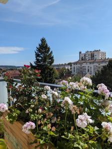 Ein paar Blumen in einem Blumenkasten auf einem Balkon in der Unterkunft Appartement in Franconville