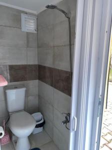 a bathroom with a toilet and a shower at Tourist pansiyon 1 in Antalya +20 photos