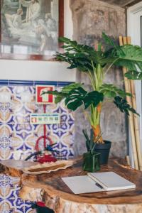 a table with a laptop and a plant on it at Casa do Riacho in Nordeste