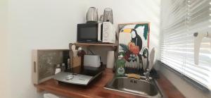 - un comptoir de cuisine avec évier et four micro-ondes dans l'établissement Le Patio Fleuri - Studio et terrasse privé à Cayenne, à Cayenne