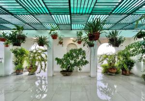 a room filled with lots of potted plants at Khách sạn Miami Ninh Thuận in Phan Rang–Tháp Chàm