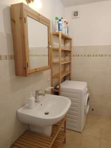 La salle de bains est pourvue d'un lavabo et d'un petit réfrigérateur. dans l'établissement Casa Giuditta, à Civezzano