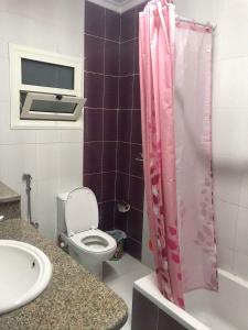 a bathroom with a toilet and a sink at Assuit ultra modern apartment in Asyut
