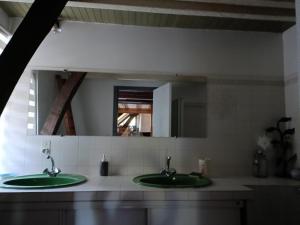 サルラ・ラ・カネダにあるBelle Demeure Sarladaiseのバスルーム(緑のシンク2台、鏡付)