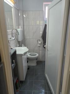 un piccolo bagno con servizi igienici e lavandino di Kuća Jovanka a Zaječar