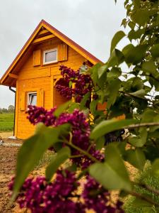 una pequeña casa con flores delante en Islandzka chatka, en Mżyki