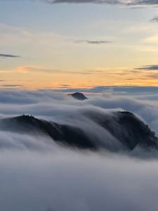 Paesaggio naturale nelle vicinanze della stanza in casa privata