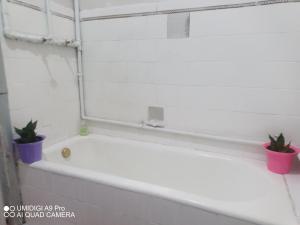 una bañera blanca con dos macetas al lado en Aconchego do Lar Centro BH Apto 633 Rua da Bahia 187 en Belo Horizonte