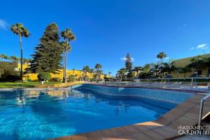 a swimming pool at a resort with palm trees at B-Rent Atlantic Garden 181 in Corralejo
