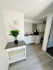 une cuisine avec une plante en pot sur un comptoir dans l'établissement Moon Bay apartment - Free large parking, à Portorož