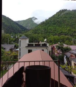 a person pointing at a view of a mountain at Guest house BORJOMULA in Borjomi