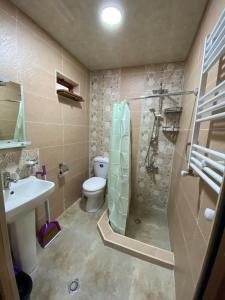 uma casa de banho com um chuveiro, um WC e um lavatório. em Guest house BORJOMULA em Borjomi